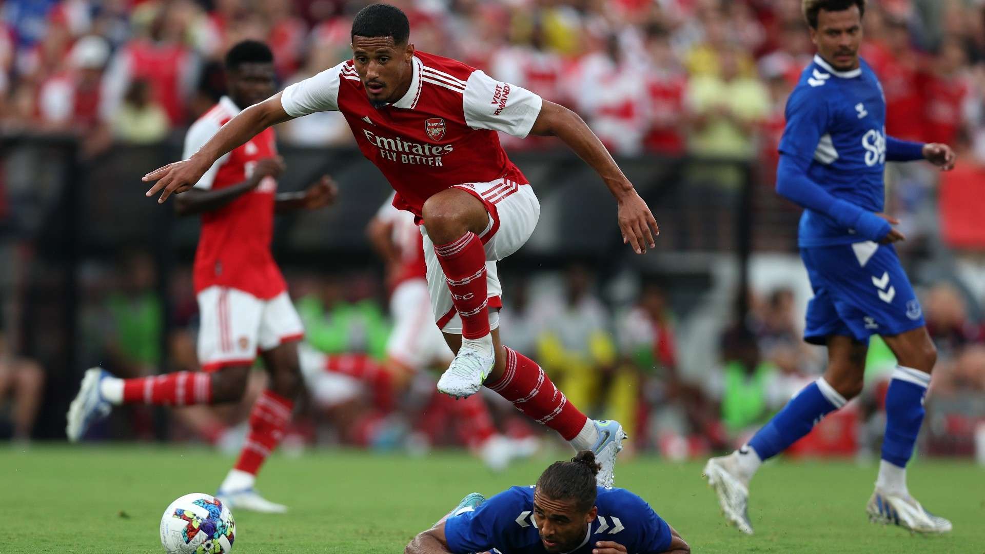 中提供了强 中提供了强