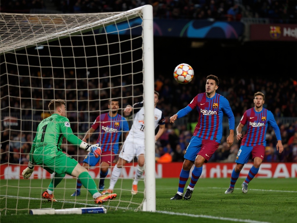 的无奈选择 的无奈选择